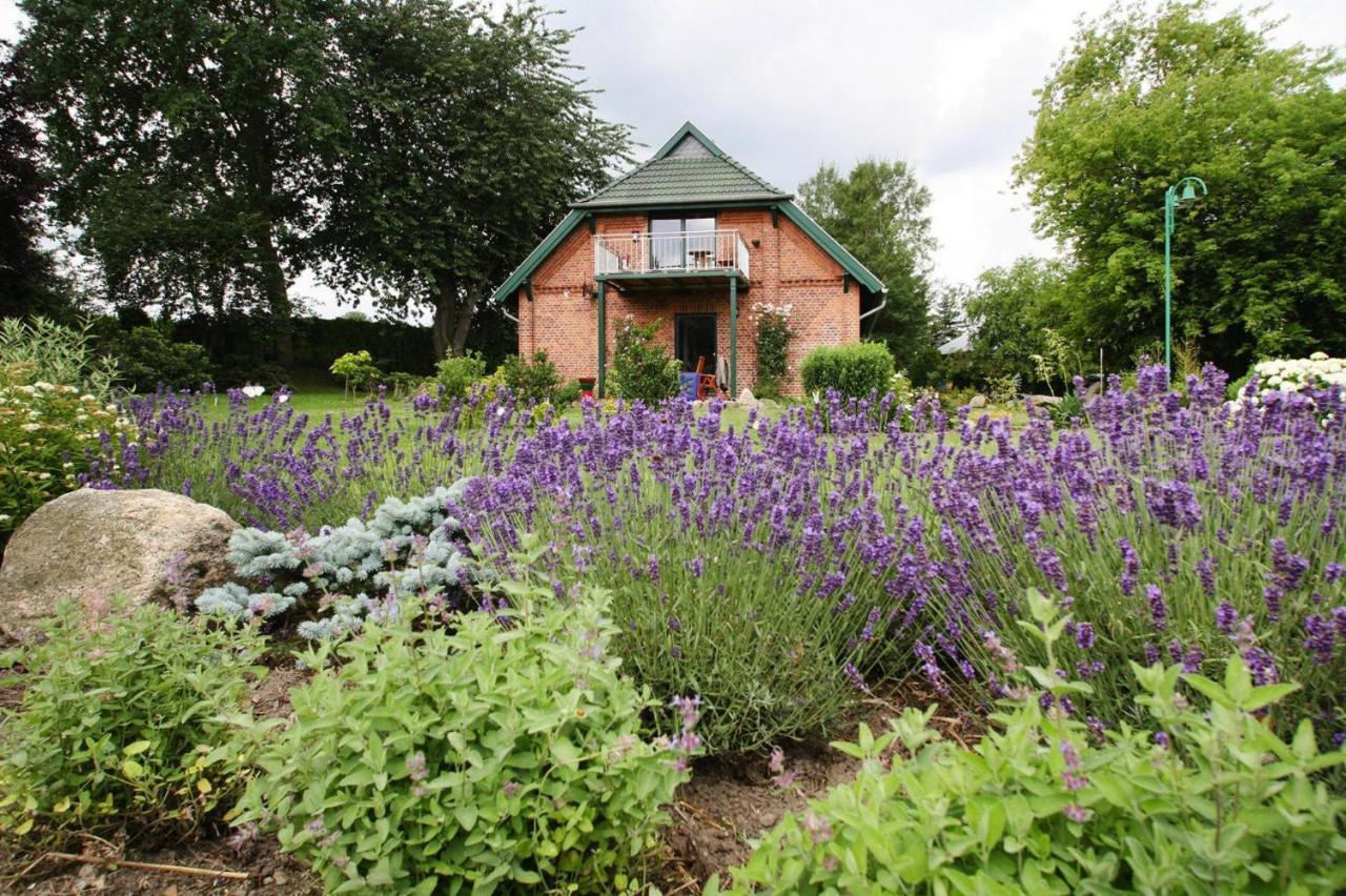 Ferienhaus Seeadler Am Duemmer See In Duemmer Dummer 외부 사진